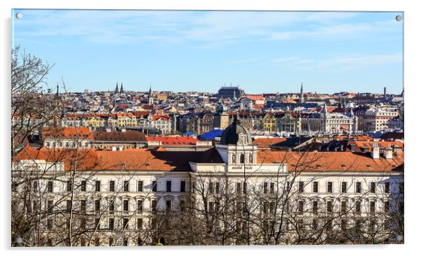 Aerial view of Prague Acrylic by Jelena Maksimova