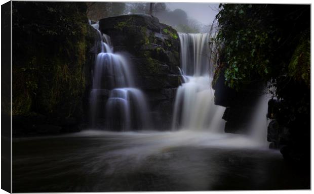 The waterfall at Penllergare Valley Woods Canvas Print by Leighton Collins