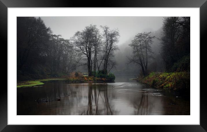 Penllergare Valley Woods upper lake Framed Mounted Print by Leighton Collins