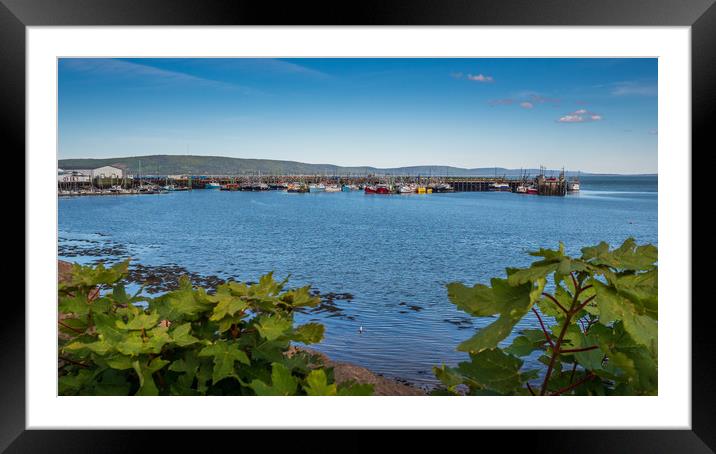 Digby Fishing Boats, Nova Scotia, Canada Framed Mounted Print by Mark Llewellyn