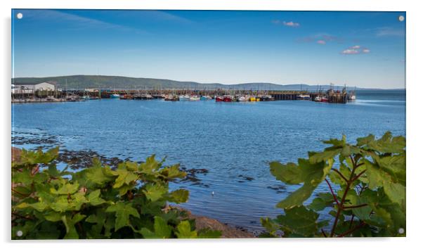 Digby Fishing Boats, Nova Scotia, Canada Acrylic by Mark Llewellyn