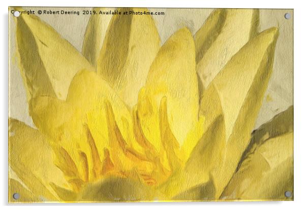 Yellow water lily Acrylic by Robert Deering