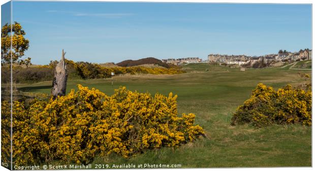 Lossiemouth Moray Golf Course Gorse Canvas Print by Scott K Marshall