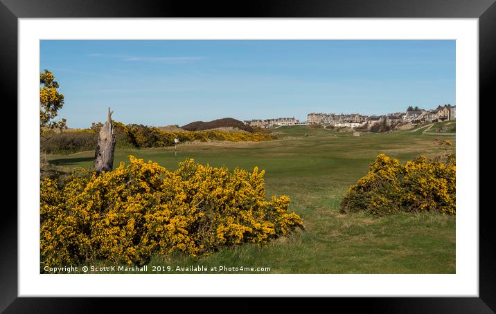 Lossiemouth Moray Golf Course Gorse Framed Mounted Print by Scott K Marshall