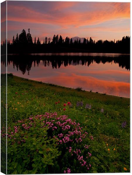 Mountain Heather Reflections Canvas Print by Mike Dawson