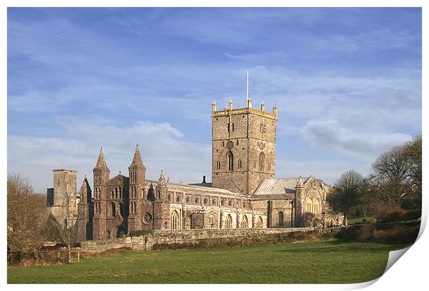 St Davids Cathedral Print by Brian Beckett
