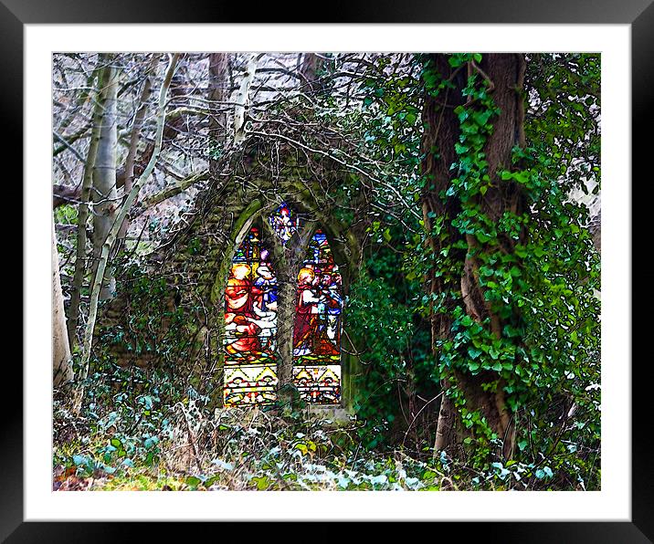Natures Cathedral Framed Mounted Print by Brian Beckett