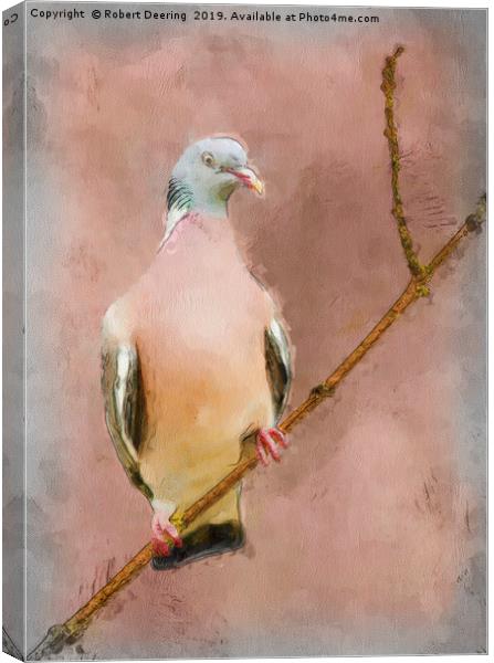 Wood Pigeon on Branch Canvas Print by Robert Deering
