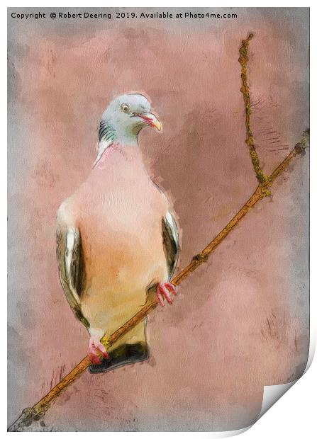 Wood Pigeon on Branch Print by Robert Deering