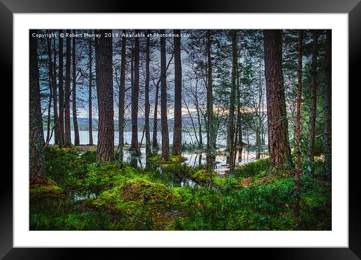 Flooding into the forest Framed Mounted Print by Robert Murray