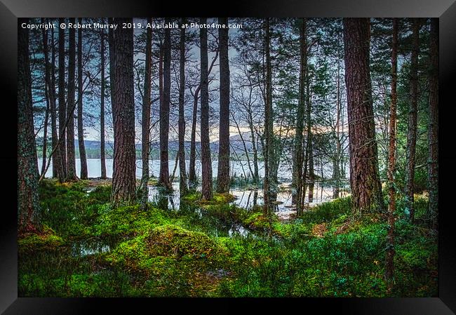 Flooding into the forest Framed Print by Robert Murray