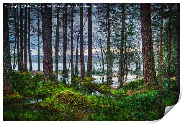 Flooding into the forest Print by Robert Murray