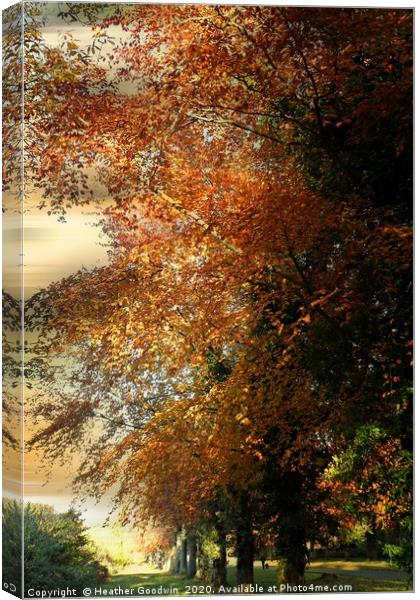 Golden Days Canvas Print by Heather Goodwin