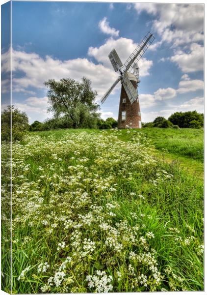 Billingford Windmill, Norfolk Canvas Print by Ian Homewood