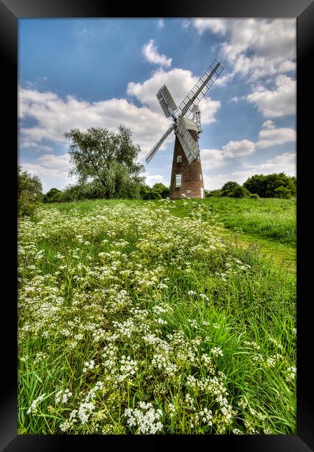 Billingford Windmill, Norfolk Framed Print by Ian Homewood