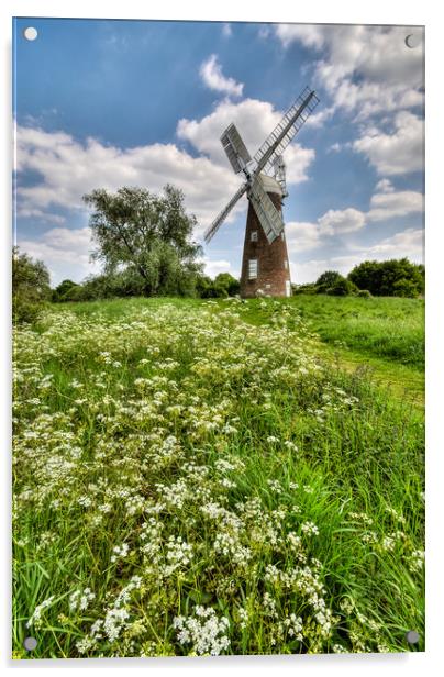 Billingford Windmill, Norfolk Acrylic by Ian Homewood