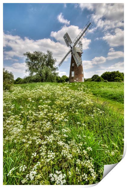 Billingford Windmill, Norfolk Print by Ian Homewood