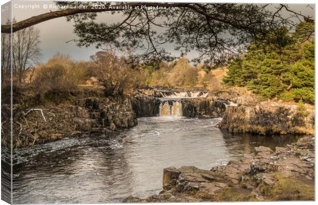Winter Sun on Low Force Waterfall Teesdale (1) Canvas Print by Richard Laidler