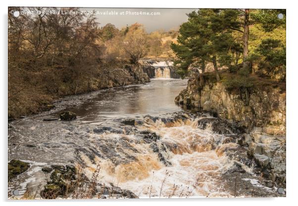 Winter Sun on Low Force Waterfall Teesdale (2) Acrylic by Richard Laidler