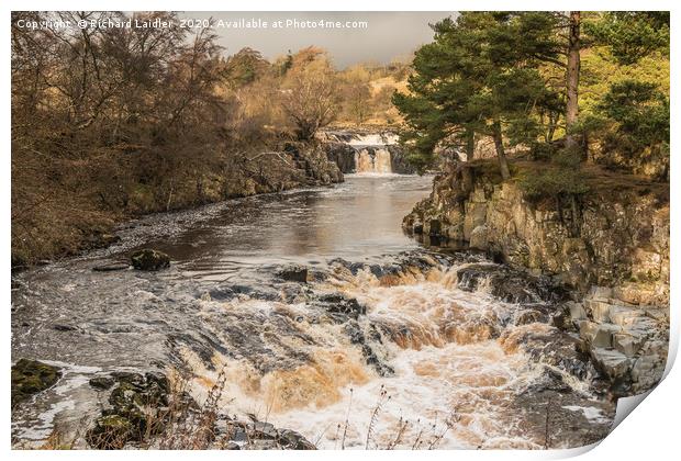 Winter Sun on Low Force Waterfall Teesdale (2) Print by Richard Laidler