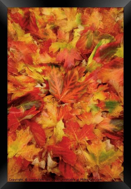 Autumn Collage with artistic blur Framed Print by Simon Johnson