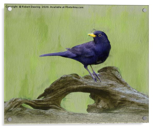 Blackbird on log Acrylic by Robert Deering