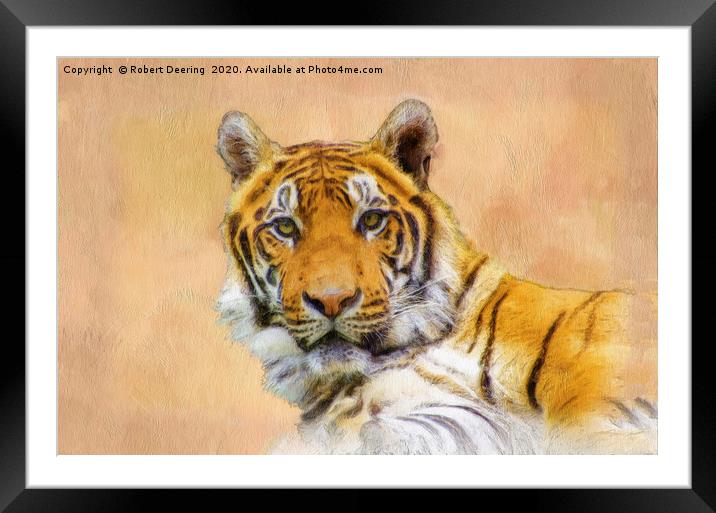Eyes of the tiger Framed Mounted Print by Robert Deering