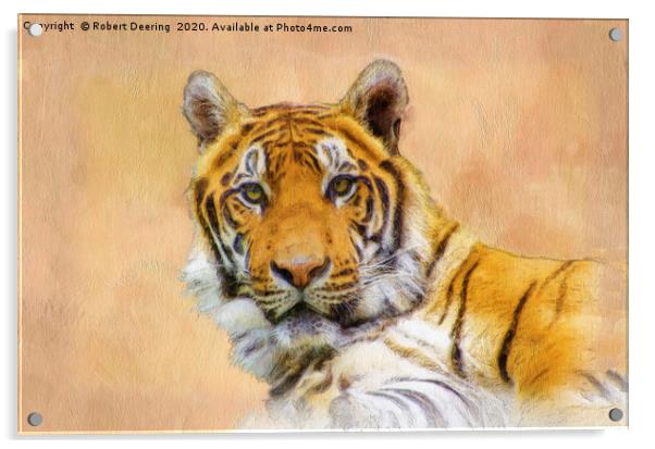 Eyes of the tiger Acrylic by Robert Deering