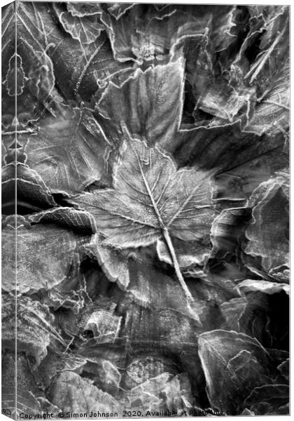 Frosted leaf Collage with artistic blur Canvas Print by Simon Johnson