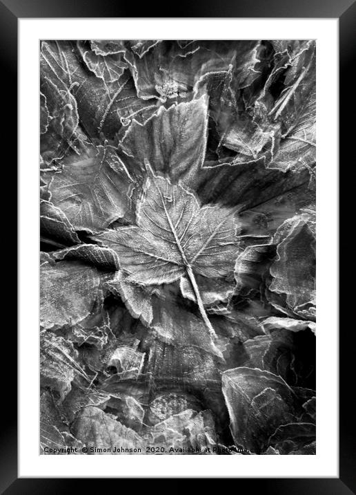 Frosted leaf Collage with artistic blur Framed Mounted Print by Simon Johnson