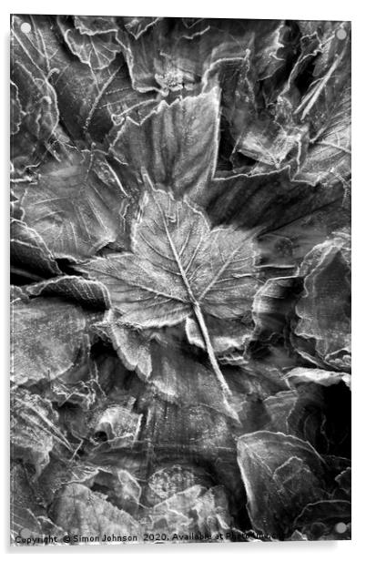 Frosted leaf Collage with artistic blur Acrylic by Simon Johnson