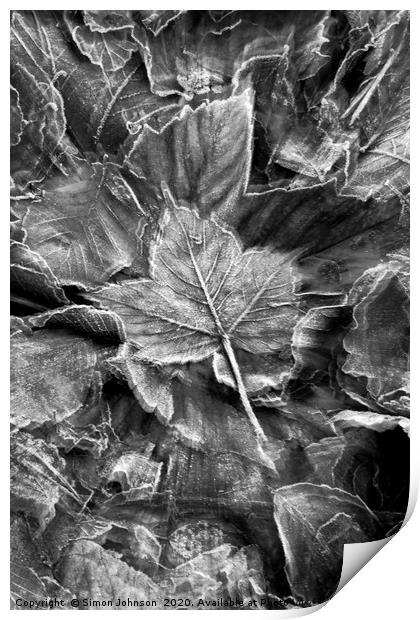 Frosted leaf Collage with artistic blur Print by Simon Johnson