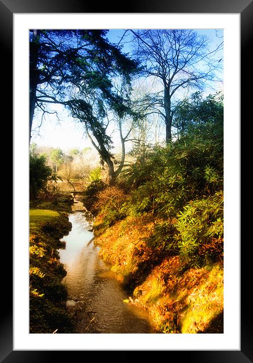 Stream Framed Mounted Print by Stephen Maxwell