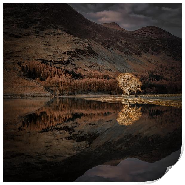 Buttermere Sentinel Print by Paul Andrews