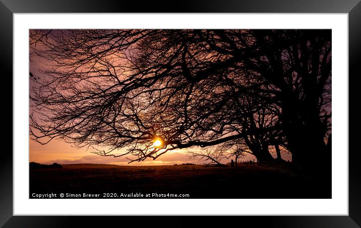 Sunset through the branches Framed Mounted Print by Simon Brewer