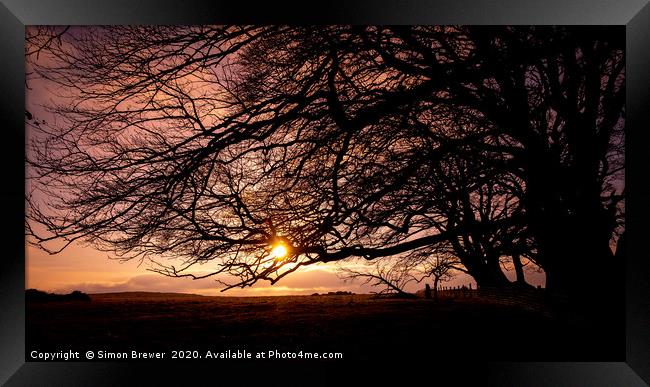 Sunset through the branches Framed Print by Simon Brewer