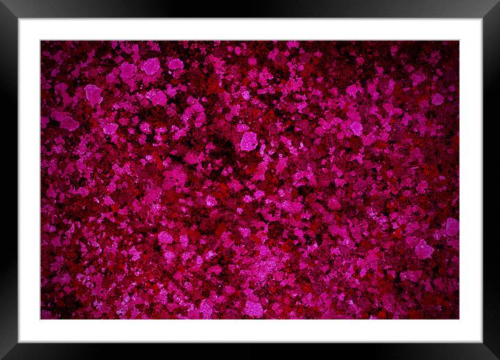 Abstract in Pinks Framed Mounted Print by Darren Burroughs