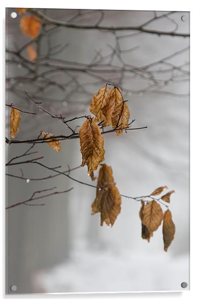 Autumn Leaves in the Mist - 2 Acrylic by Ann Garrett
