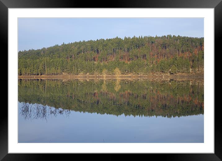 Palsko Lake, Pivka lakes, Slovenia Framed Mounted Print by Ian Middleton