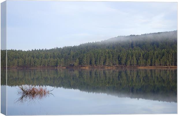 Palsko Lake, Pivka lakes, Slovenia Canvas Print by Ian Middleton