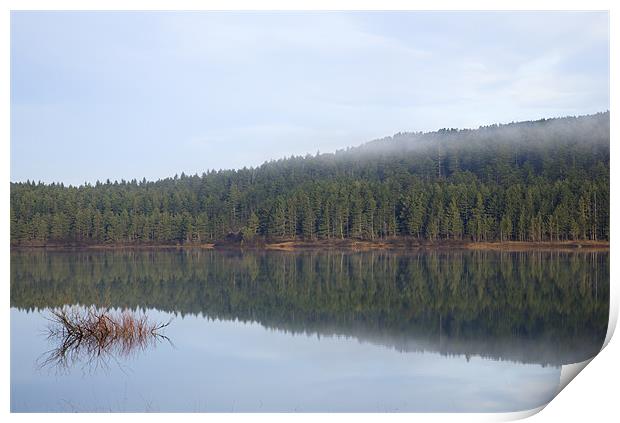 Palsko Lake, Pivka lakes, Slovenia Print by Ian Middleton