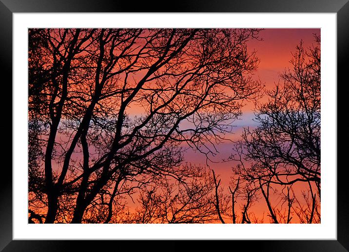 Sunset Bands Framed Mounted Print by Donna Collett
