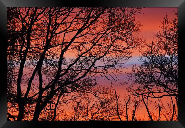Sunset Bands Framed Print by Donna Collett