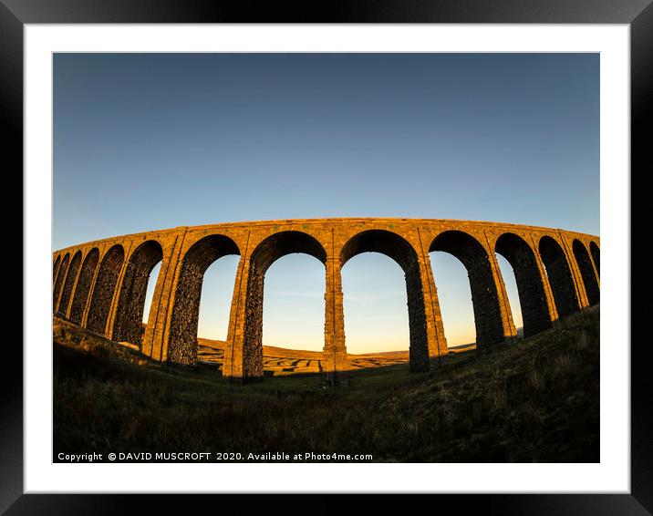 Ribblehead Viaduct, North Yorkshire Framed Mounted Print by DAVID MUSCROFT