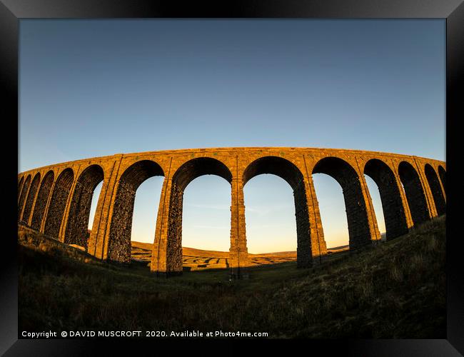 Ribblehead Viaduct, North Yorkshire Framed Print by DAVID MUSCROFT