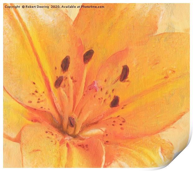 Orange lily close up Print by Robert Deering