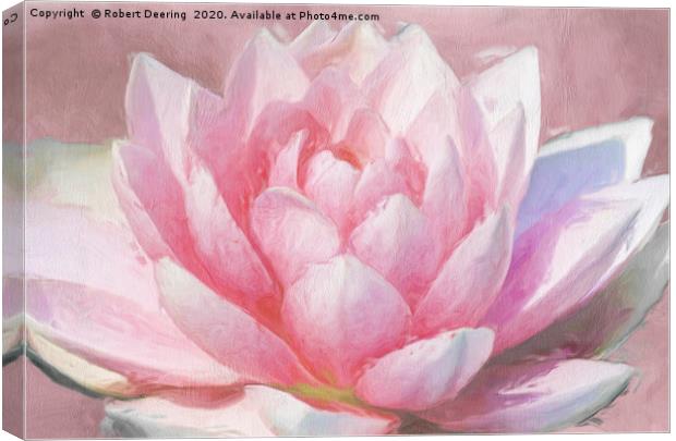 Pretty In Pink Canvas Print by Robert Deering