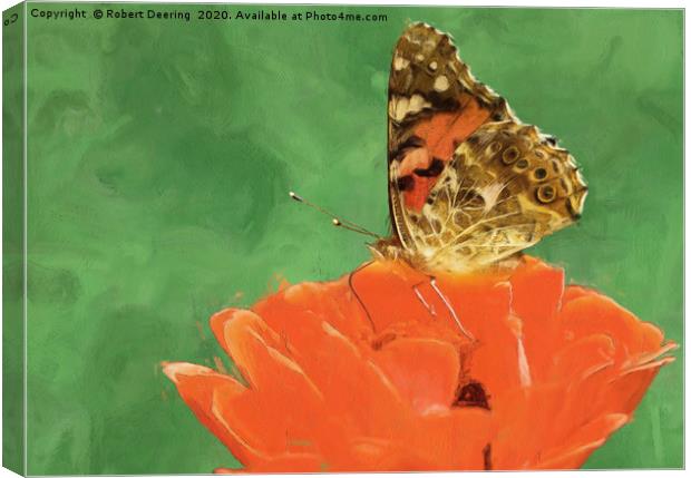 Painted lady on poppy Canvas Print by Robert Deering