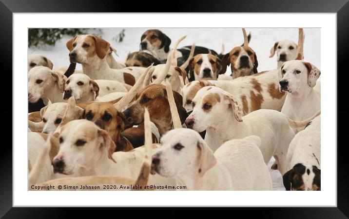 Who let the dogs out Framed Mounted Print by Simon Johnson