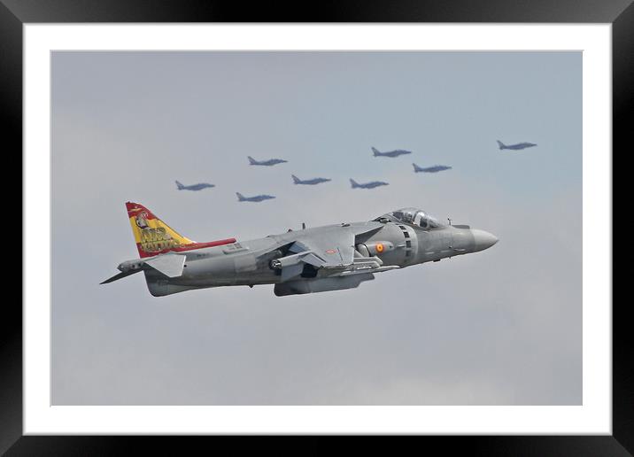 Harrier and friends Framed Mounted Print by Rachel & Martin Pics